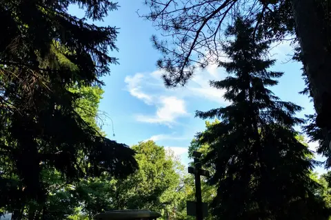 Maple View Resort and Campground