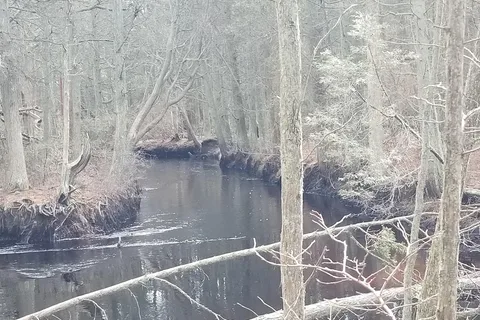 Wharton State Forest - Hawkins Bridge