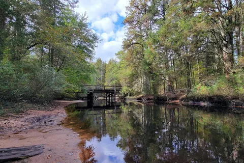 Wharton State Forest - Hawkins Bridge