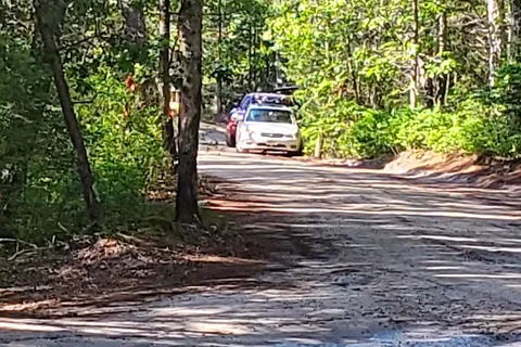 Wharton State Forest - Hawkins Bridge