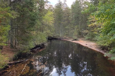 Wharton State Forest - Hawkins Bridge