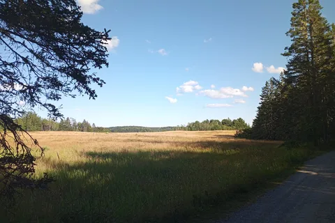 Cobscook Bay State Park