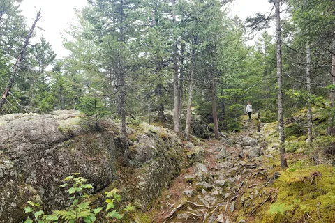 Cobscook Bay State Park