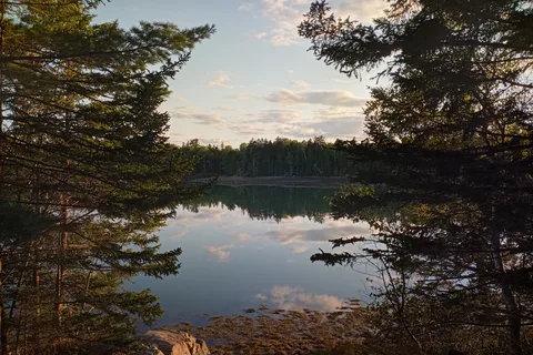 Cobscook Bay State Park