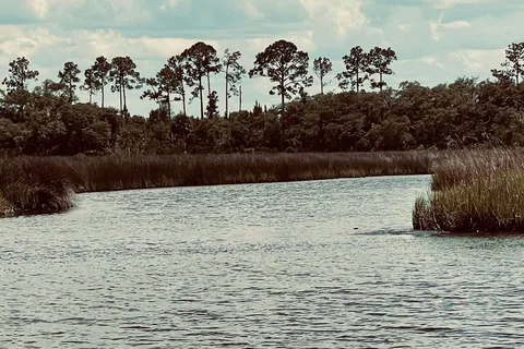 Pellicer Creek Campground