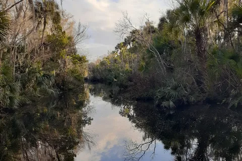 Pellicer Creek Campground