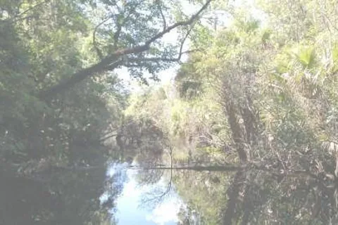 Pellicer Creek Campground