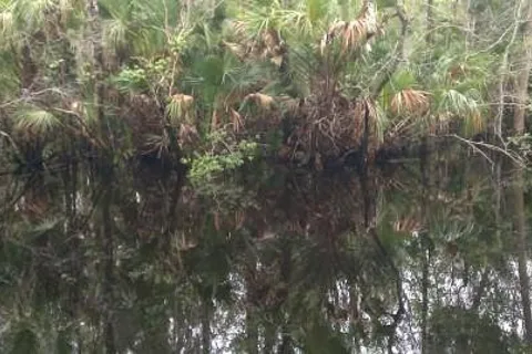 Pellicer Creek Campground