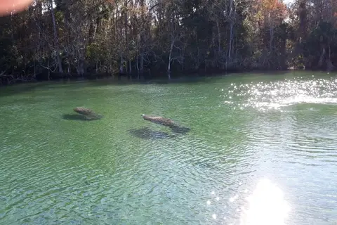 Rivers Edge RV Park