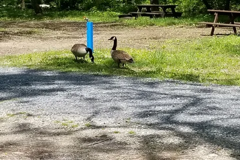 Gettysburg Campground