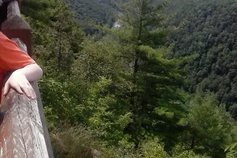 Leonard Harrison State Park