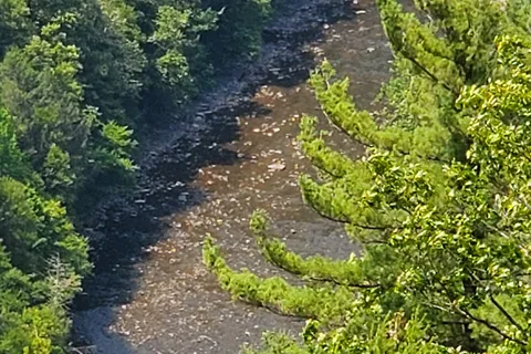 Leonard Harrison State Park