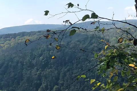 Leonard Harrison State Park