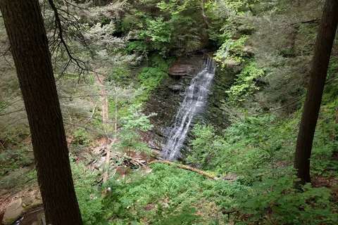 Leonard Harrison State Park