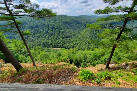 Leonard Harrison State Park