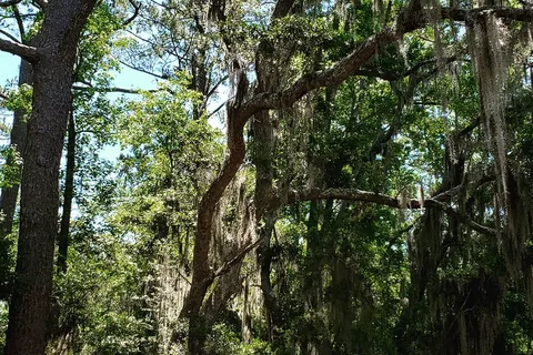 Skidaway Island State Park