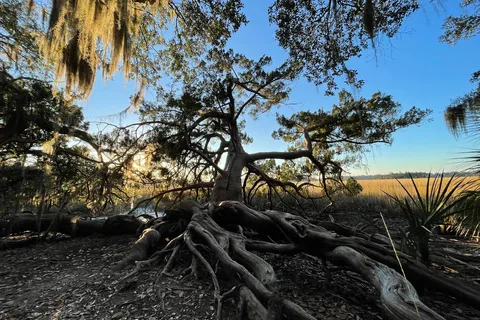 Skidaway Island State Park
