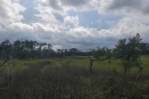Skidaway Island State Park
