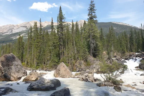 Monarch - Yoho National Park