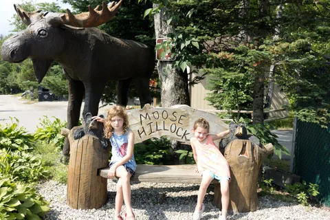 Moose Hillock Campground