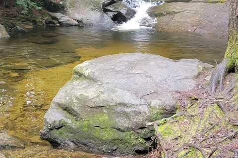 Moose Hillock Campground
