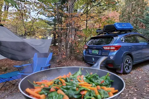 Black Brook Cove Campground