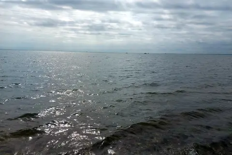 Wooded Area - Goose Island State Park