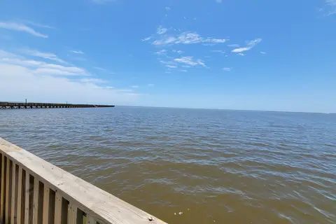 Wooded Area - Goose Island State Park