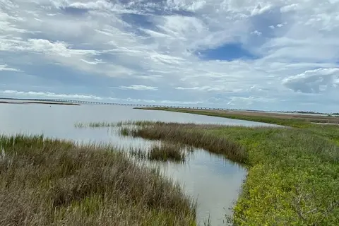 Wooded Area - Goose Island State Park
