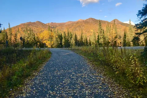 Riley Creek Campground - Denali National Park