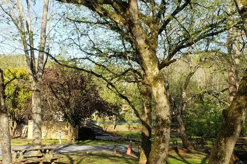 Peachtree Cove RV Park
