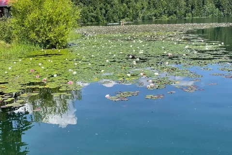 Dutch Lake Resort and RV Park