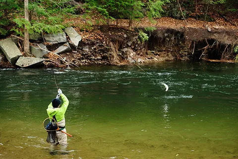 Prewett Creek RV Park and Campground