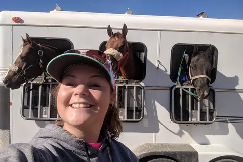Diamond B Stabling