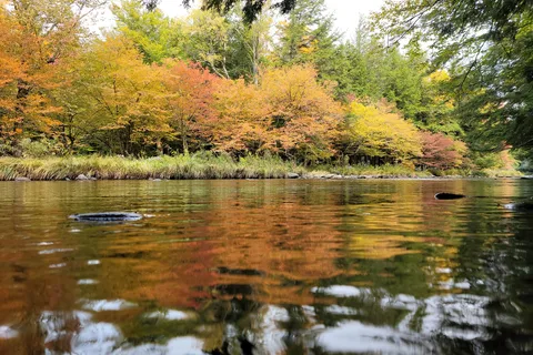 Covered Bridge Campsite