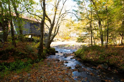 Covered Bridge Campsite