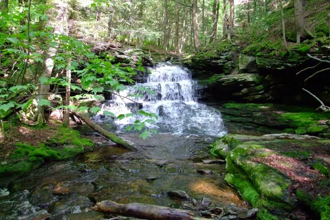 Covered Bridge Campsite