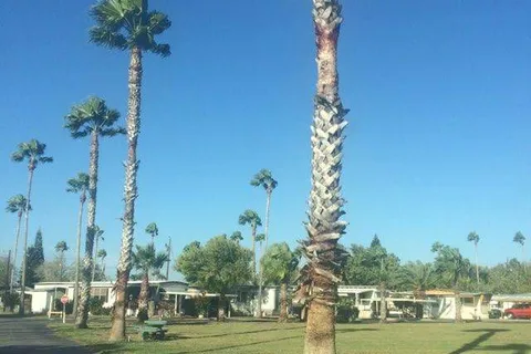 Palm Gardens Manufactured Home and RV Community