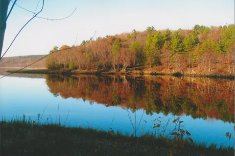 Bear River Millyard Recreation Campground and Camp Cottages