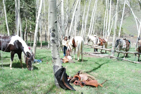 Harmel's Ranch Resort