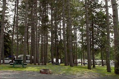 Camping La Roche Dor