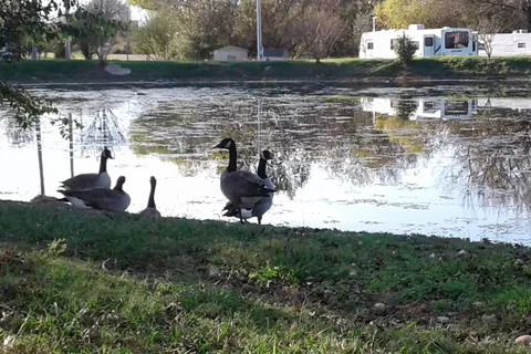 Twin Lakes RV Park
