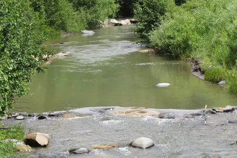 The Last Resort on the River