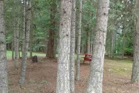Lemon Creek Lodge and Campground