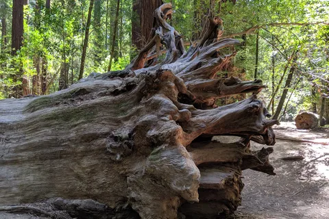 Hendy Woods State Park