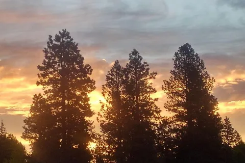 Whispering Pines RV Campground