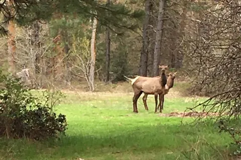 Whispering Pines RV Campground