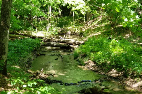Camden State Park