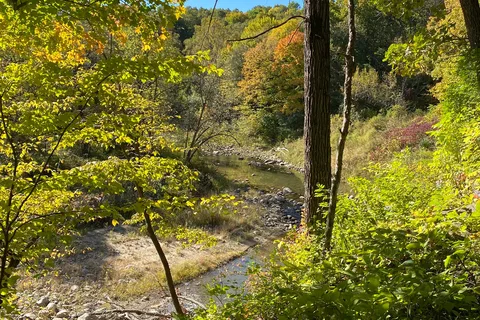 Camden State Park