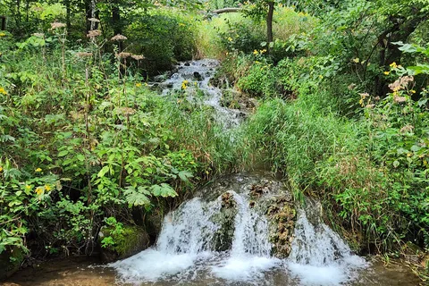 Camden State Park